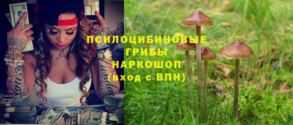 2c-b Верхний Тагил