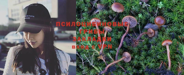 прущий лед Верея