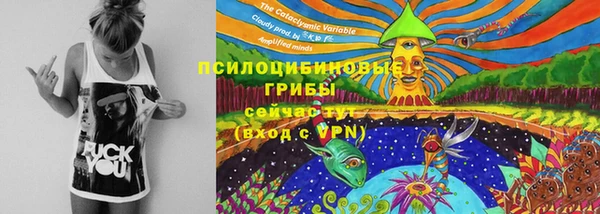 2c-b Верхний Тагил