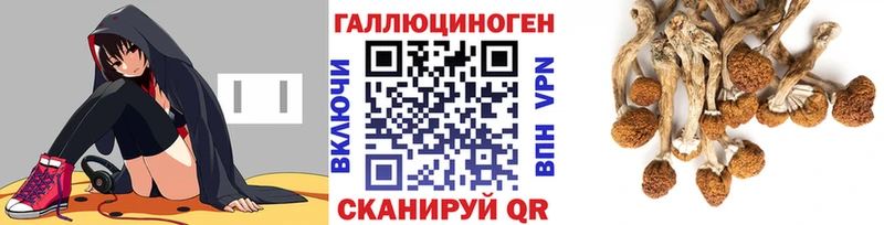 hydra tor  Палласовка  Галлюциногенные грибы GOLDEN TEACHER 